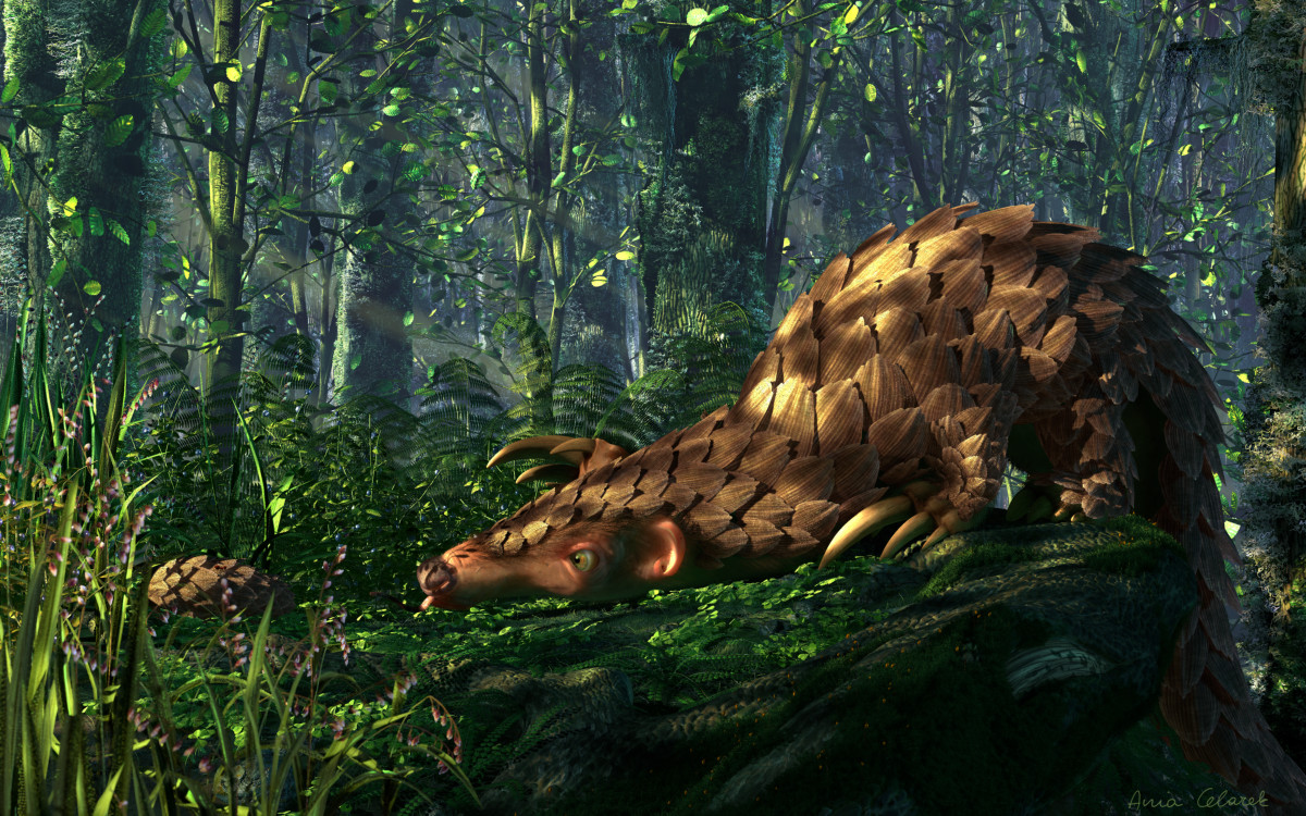 Pangolin