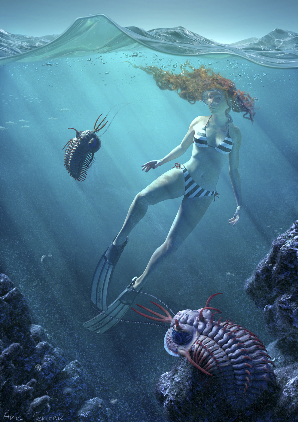 Trilobite